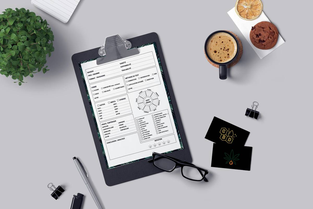 Tech Guide for Beginners: Cut Through the Noise and Start Smart